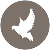 FoldinFowlLogo_circle-dove